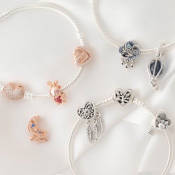 Pandora Moments 798064NMB