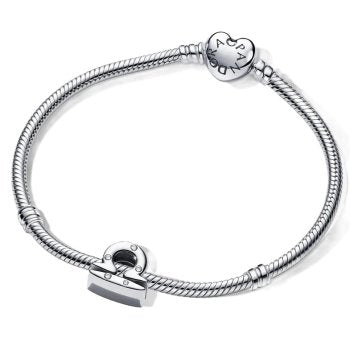 Pandora Moments 798424C01