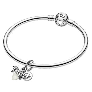 Pandora Moments 799352C01
