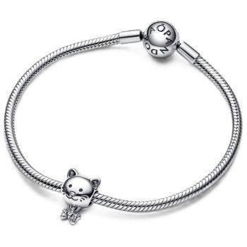 Pandora Moments 792255C01