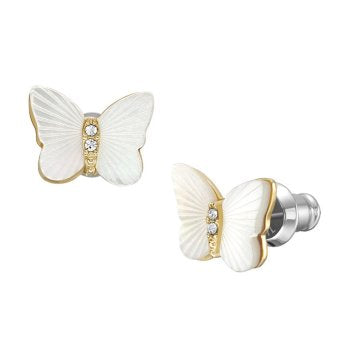 Fossil Radiant Wings JF04422710