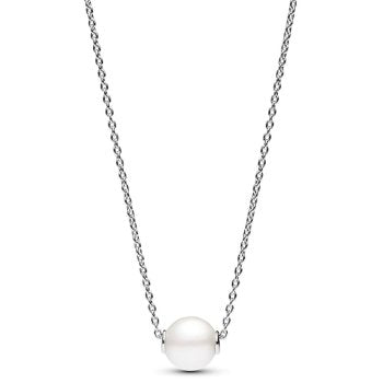 Pandora Timeless 393167C01-45