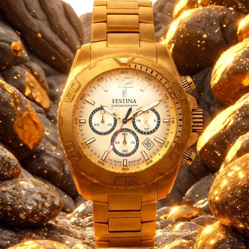 Festina Timeless Chronograph 20684/1