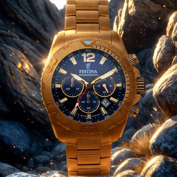 Festina Timeless Chronograph 20684/2