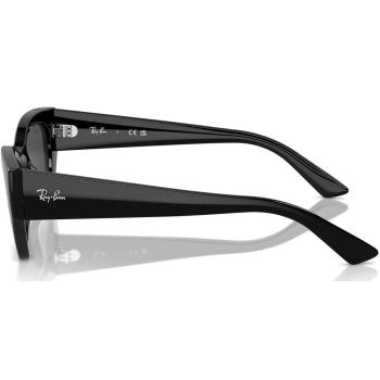 Ray-Ban RB4430 667787 49