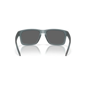 Oakley Holbrook OO9102 9102Z4 55