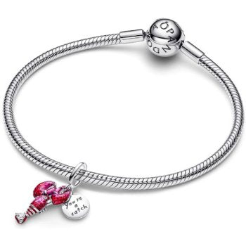 Pandora Moments 793676C01