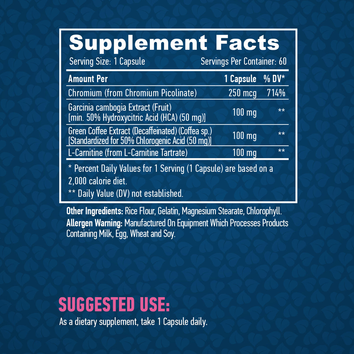 Lean Burner / 60 Caps. - Feel You