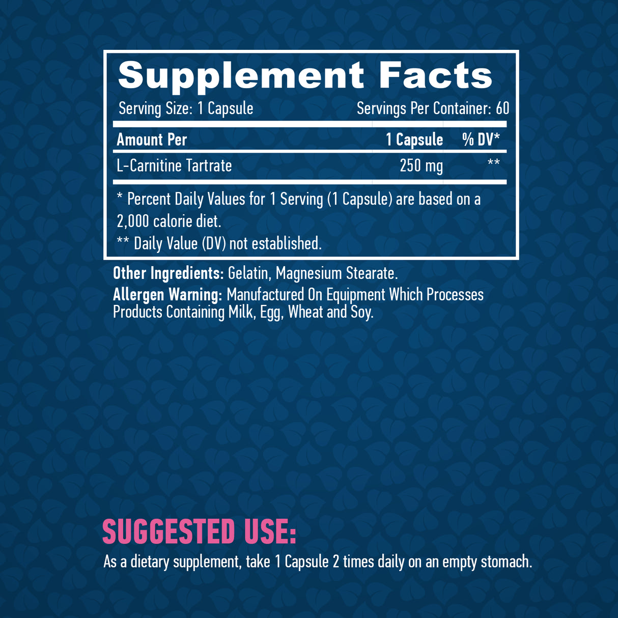 L-Carnitine 250 mg / 60 Caps