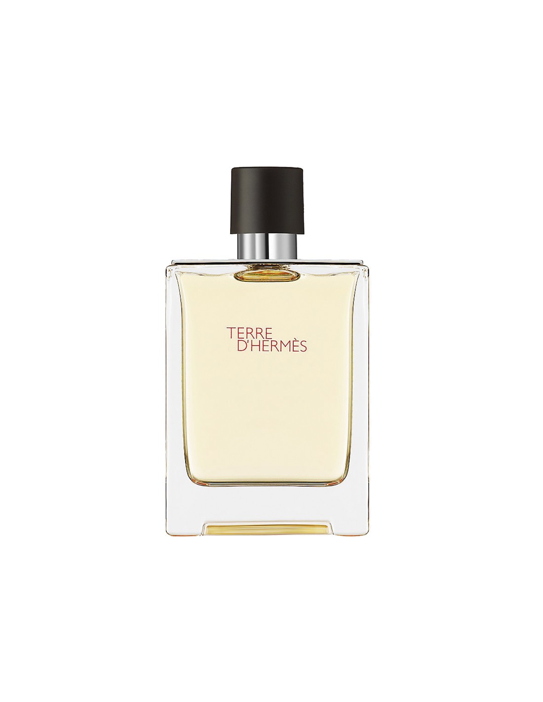 Hermes Terre D'Hermes Eau De Toilette Spray 100ml - Feel You