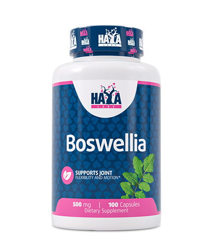 Boswellia Extract 500 mg / 100 Caps