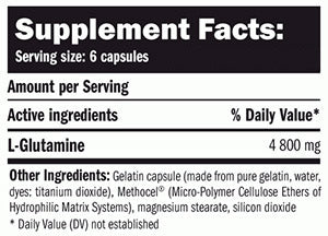 L-Glutamine 800 mg / 360 Caps