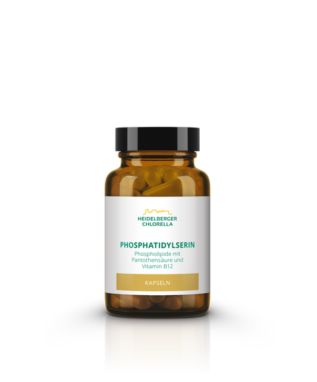 Фосфатидилсерин - Подобряване на Паметта и Концентрацията - Feel You