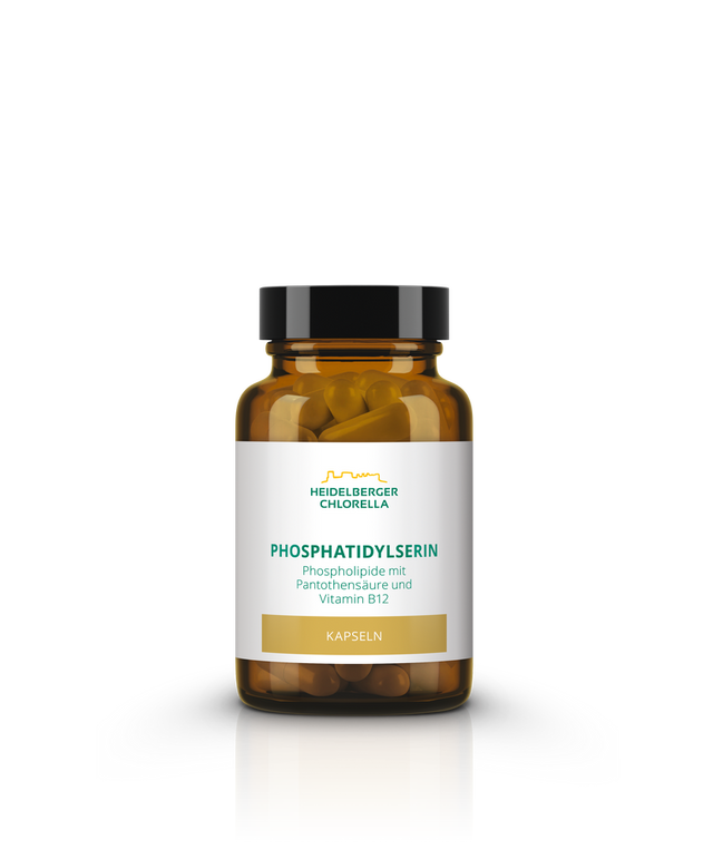 Фосфатидилсерин - Подобряване на Паметта и Концентрацията - Feel You