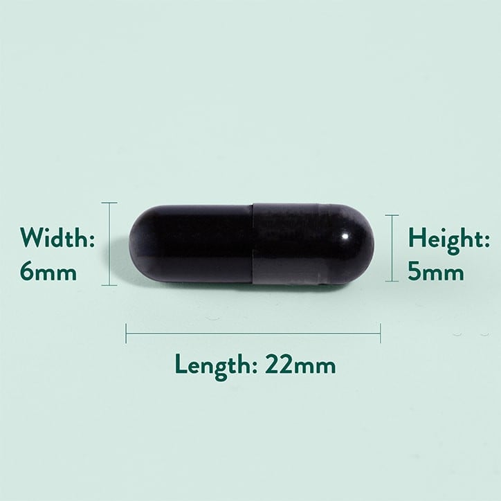 Активен въглен (Activated Charcoal) 1560мг 120 капсули - Feel You