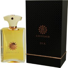 Amouage - Dia pour Homme EDP - 100ml - Feel You
