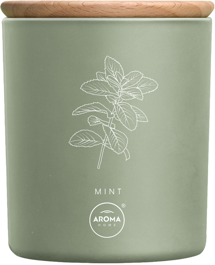 Aroma Home, Mint, Scented Candle, 150 g - Feel You