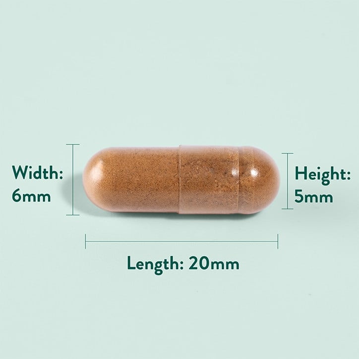 Артишок екстракт (Artichoke Extract) 350 мг 60 капсули - Feel You