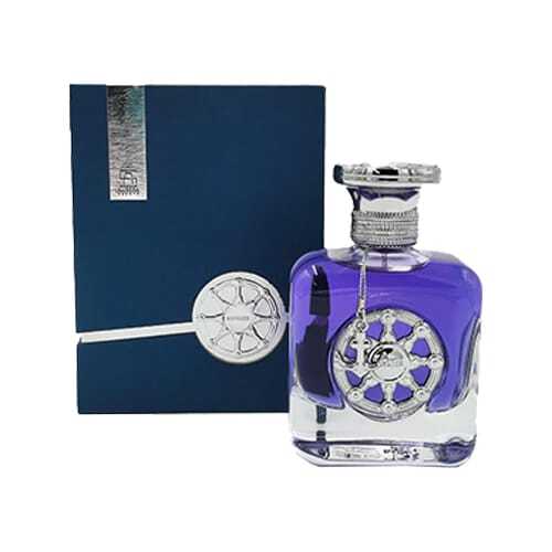 Aurora, Voyager Silver, Eau De Parfum, For Men, 100 ml - Feel You