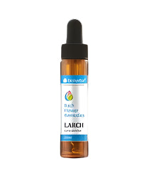 Bach Drops LARCH 20 мл - Feel You