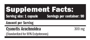 Beta-EcdyX Pure 90 Caps. - Feel You