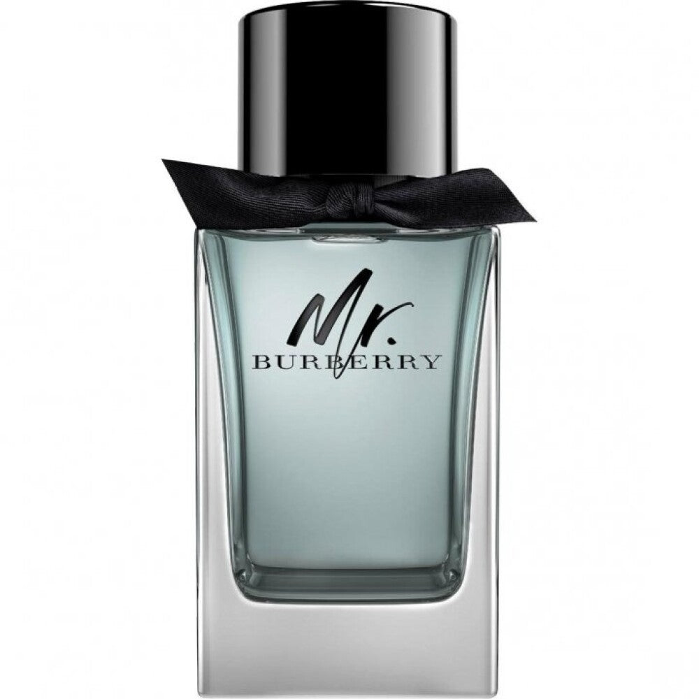 Burberry, Mr. Burberry, Eau De Toilette, For Men, 100 ml - Feel You