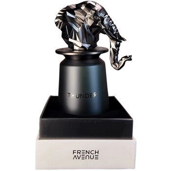 French Avenue - Thunder EDP - 100ml - Feel You