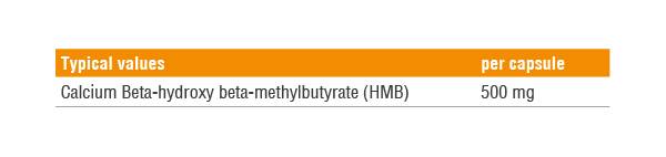 HMB 90 капсули - Feel You