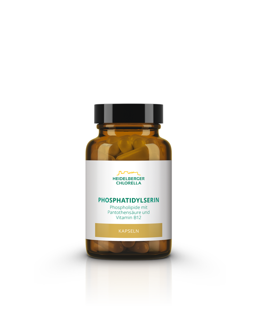 Фосфатидилсерин - Подобряване на Паметта и Концентрацията - Feel You