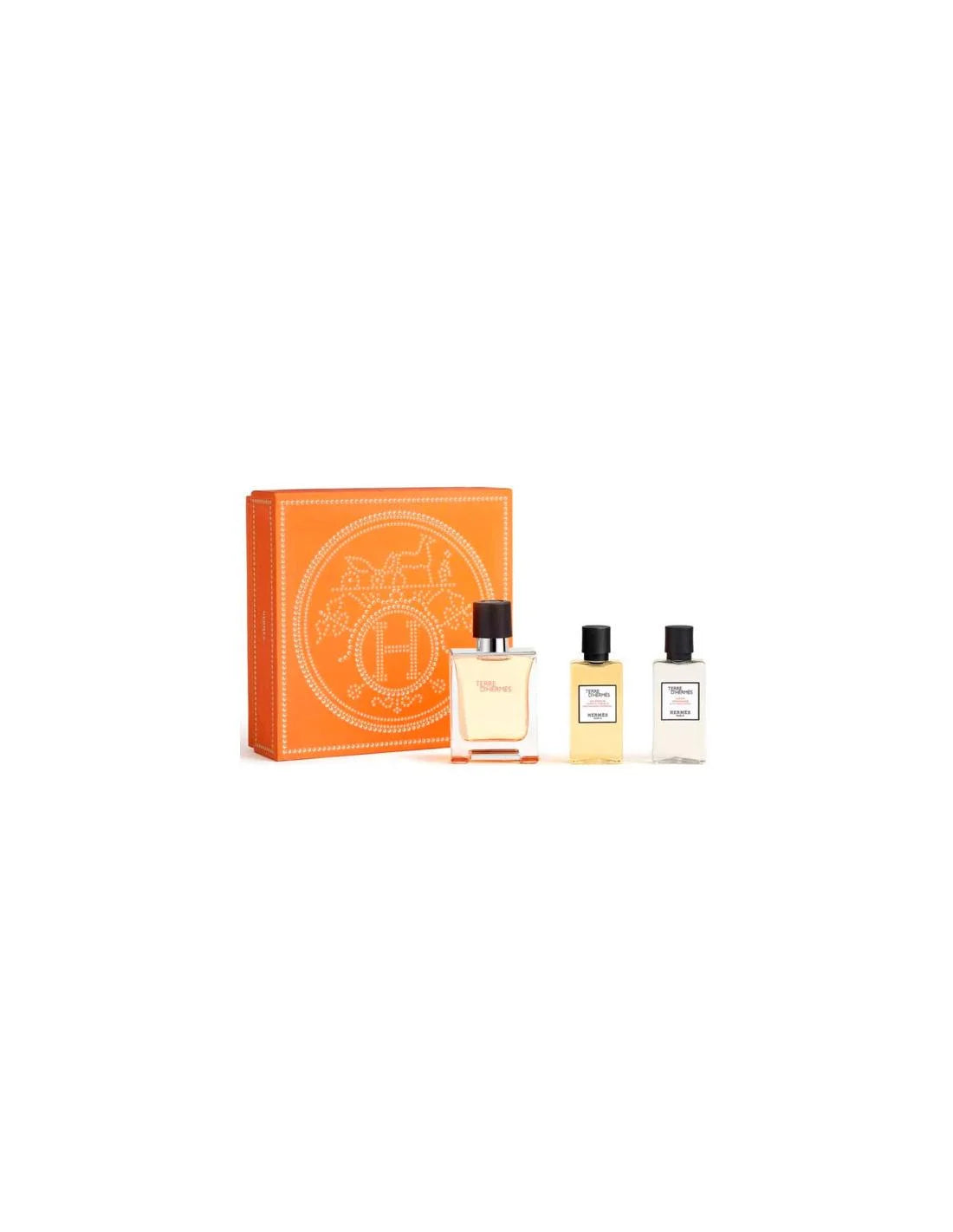 Hermès Terre D'hermes e T 50 Spray Gel40 Ash40 - Feel You