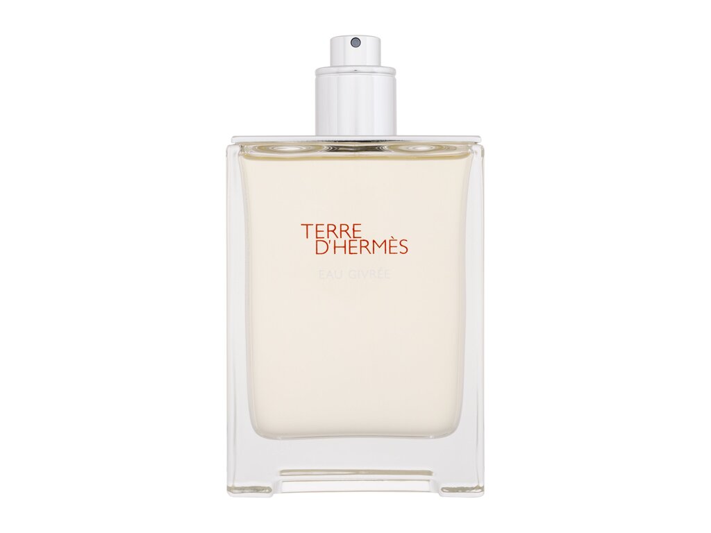 Hermes Terre D Hermes Givree EDP 100 ml H Tester - Feel You