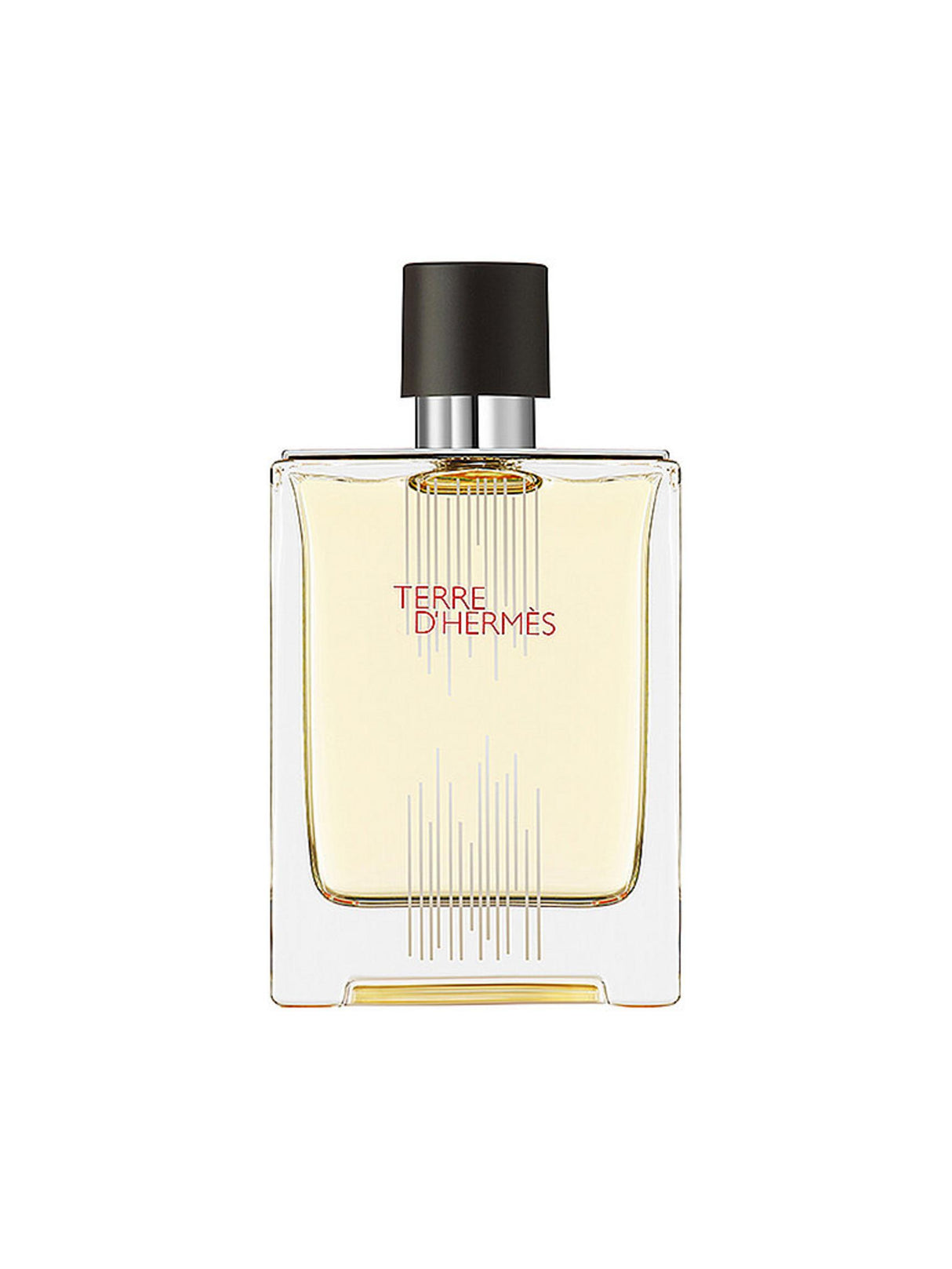 Hermes, Terre d'Hermes Flacon H Limited Edition, Eau De Toilette, For Men, 100 ml - Feel You