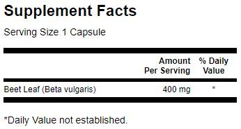 L-Carnitine Strong / 120 Caps - Feel You