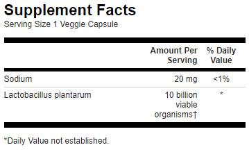 Lactobacillus Plantarum / L Plantarum - 30 капсули - Feel You
