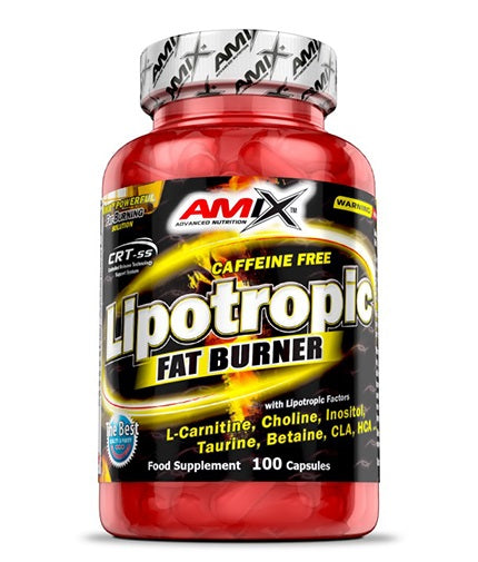 Lipotropic Fat Burner / 100 Caps - Feel You