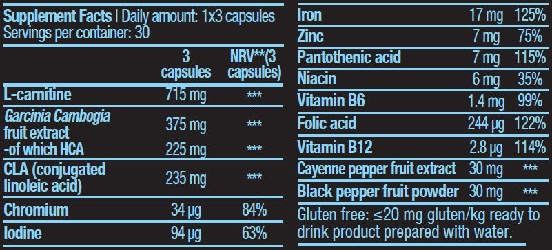 Mega Burner / 90 caps - Feel You