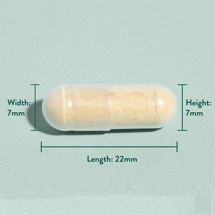 Бял трън екстракт (Milk Thistle) 30 капсули - Feel You