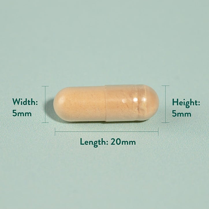 Бял трън екстракт (Milk Thistle) 60 капсули, H&B - Feel You