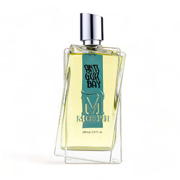 Morph - Pure Soul EDP - 100ml - Feel You
