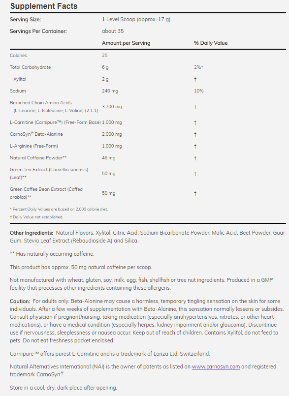 NOW Sports - Amino Power Pre-Workout - 600 g - Feel You