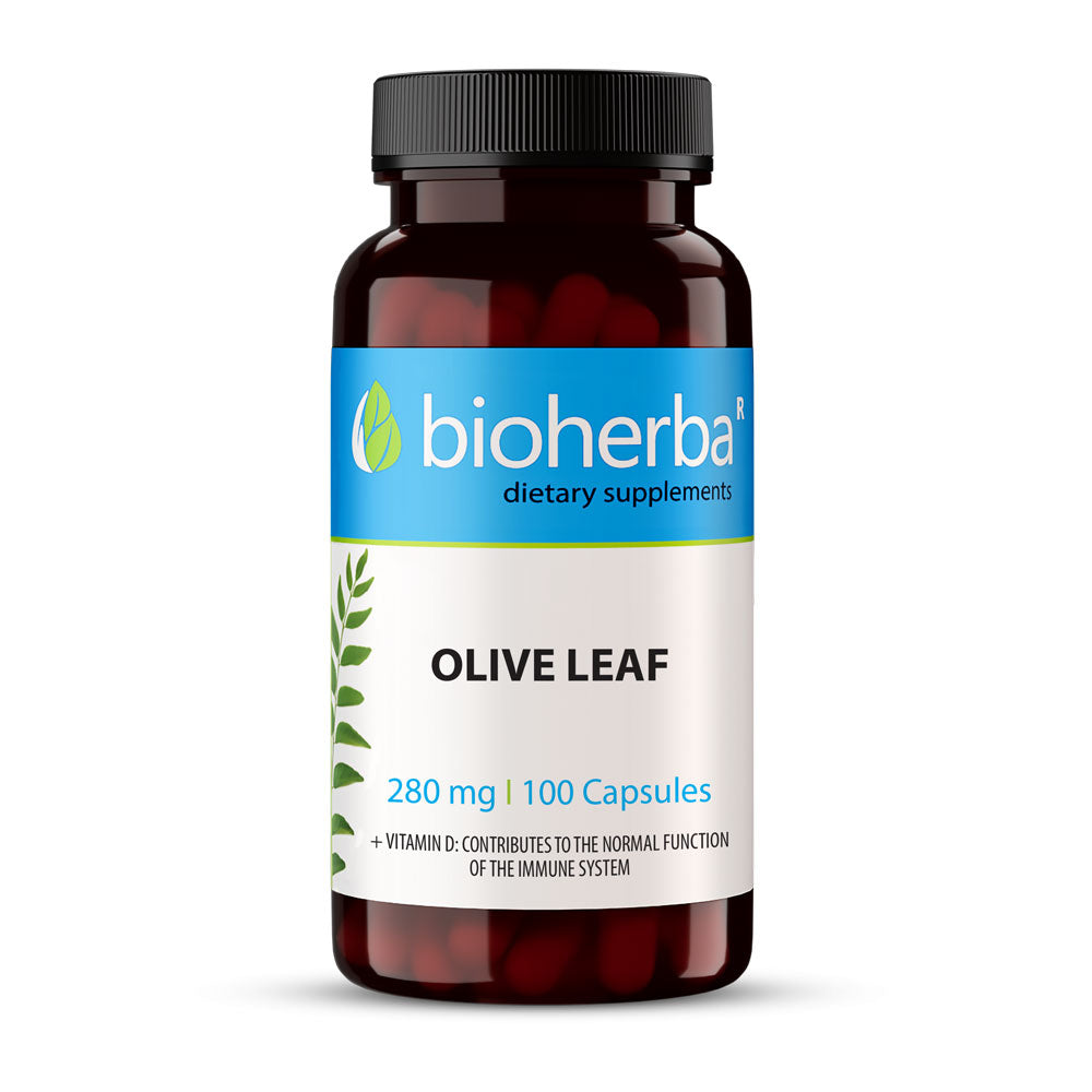 Olive Leaf 280 mg - 100 капсули - Feel You