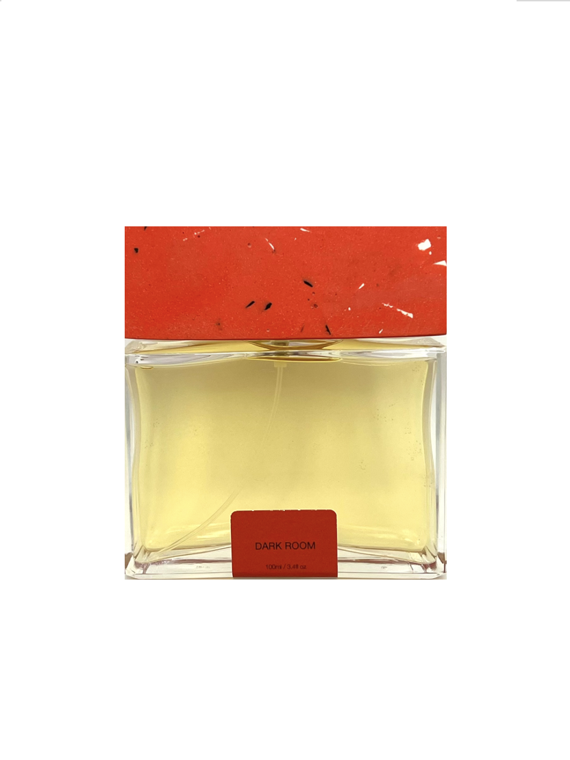 Pictor Parfum, Dark Room, Extrait De Parfum, Unisex, 100 ml - Feel You