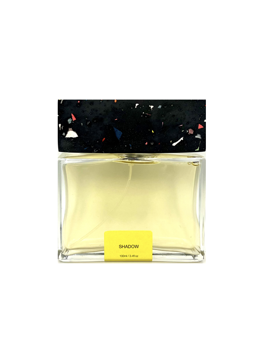 Pictor Parfum, Shadow, Extrait De Parfum, Unisex, 100 ml - Feel You