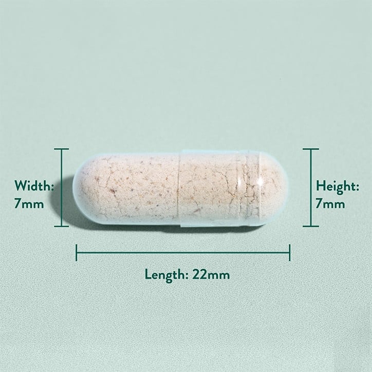 Псилиум хуск фибри (Psyllium Husk) 500mg 200 капсули, HB - Feel You