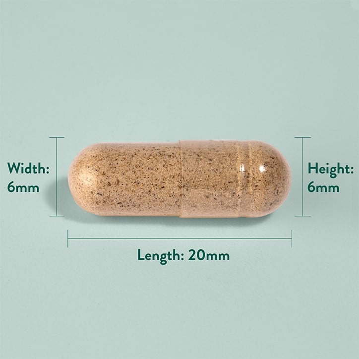 Салвия (Sage Leaf) (градински чай) 285мг 100 капсули, H&B - Feel You