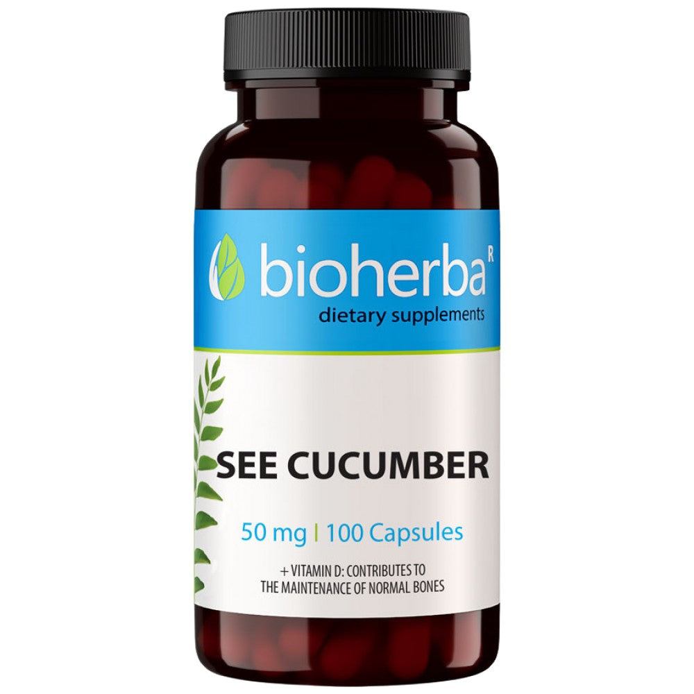 Sea Cucumber Extract 50 mg - 100 капсули - Feel You