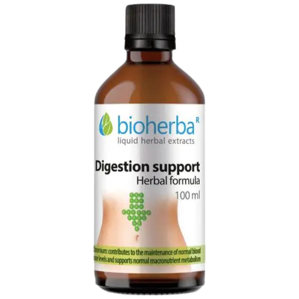 Tincture Regular Stomach - 100 мл - Feel You
