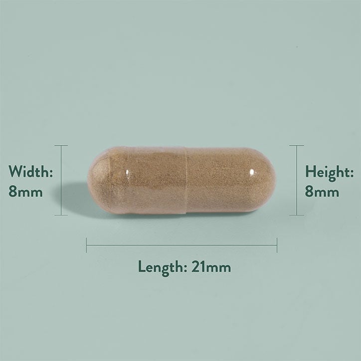 Бабини зъби (Tribulus Terrestris Extract) 250mg 90 капсули, H&B - Feel You