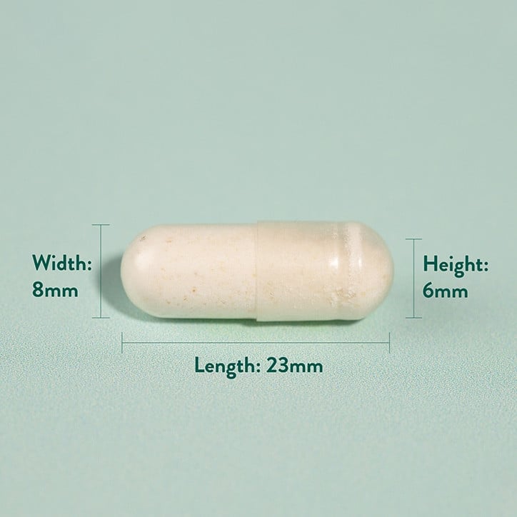 Пробиотик формула (Triple Action Biotic) 50млрд. 60 капсули, H&B - Feel You