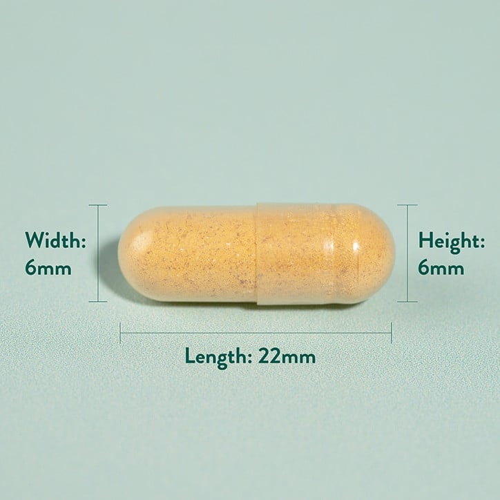 Куркума (Turmeric) 500мг 240 капсули, H&B - Feel You